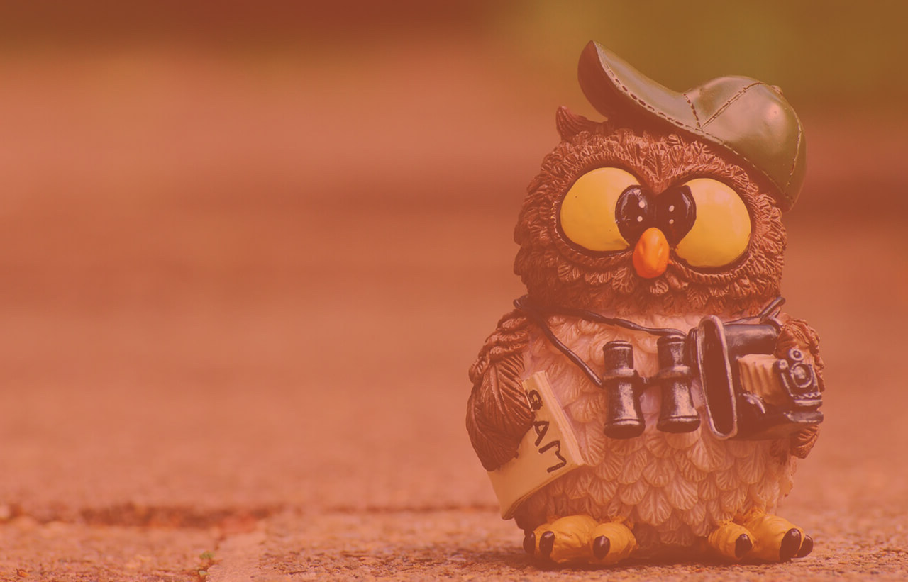 How To Upload Your Captions to YouTube